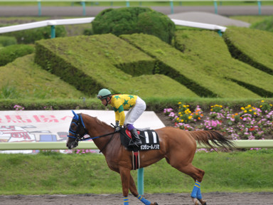 2014/07/20 福島10R