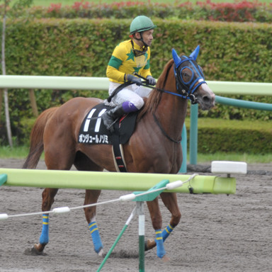 2014/07/20 福島10R