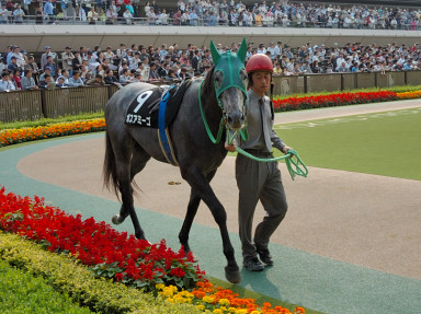 2006/10/21 東京09R