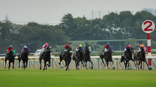 2006/10/21 東京09R