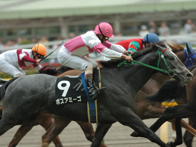 2006/10/21 東京09R