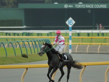 2006/10/21 東京09R