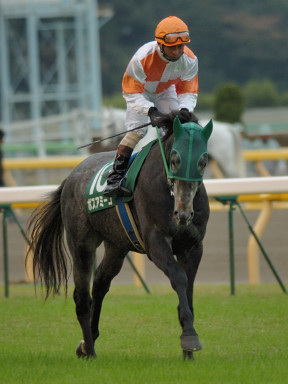 2006/11/18 東京11R