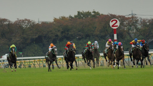 2006/11/18 東京11R