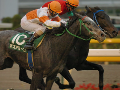 2006/11/18 東京11R
