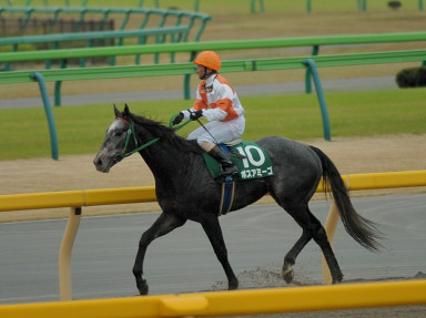 2006/11/18 東京11R