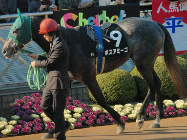 2006/12/23 中山09R