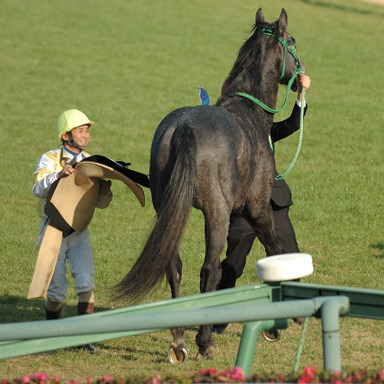 2006/12/23 中山09R