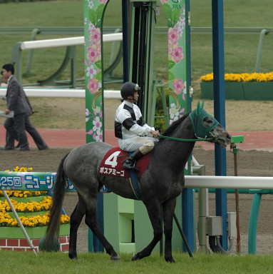 2007/04/07 中山11R