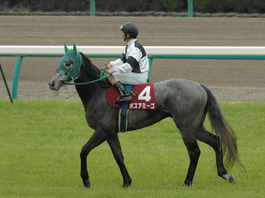 2007/04/07 中山11R