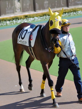 2005/02/12 東京07R