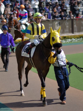 2005/02/12 東京07R