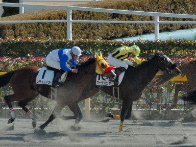 2005/02/12 東京07R