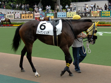 2005/06/11 東京07R