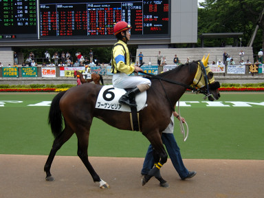 2005/06/11 東京07R