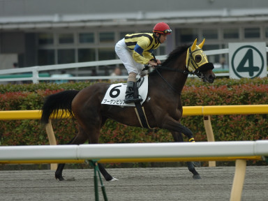 2005/06/11 東京07R
