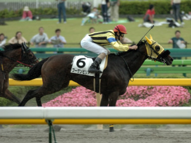 2005/06/11 東京07R