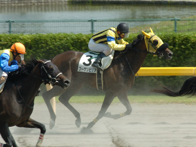 2005/07/24 新潟07R