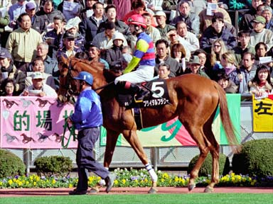 2001/02/25 中山09R
