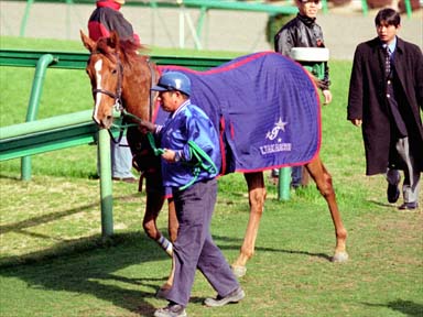 2001/02/25 中山09R