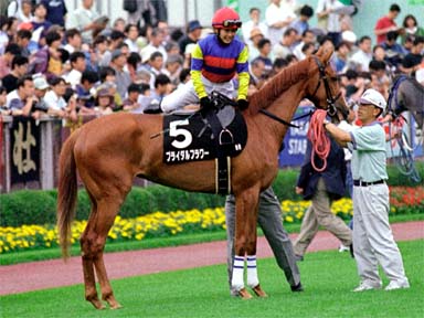 2001/06/10 東京09R