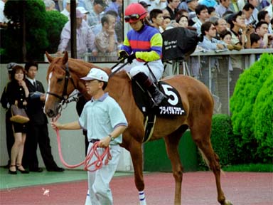2001/06/10 東京09R
