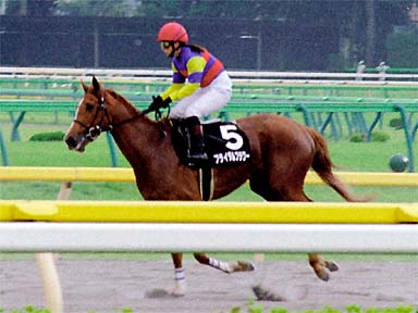 2001/06/10 東京09R