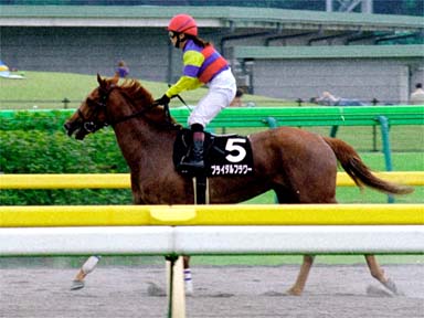 2001/06/10 東京09R
