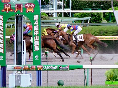 2003/04/19 中山08R