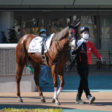 2023/02/05 東京07R