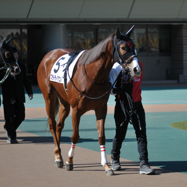 2023/02/05 東京07R