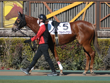 2023/02/05 東京07R