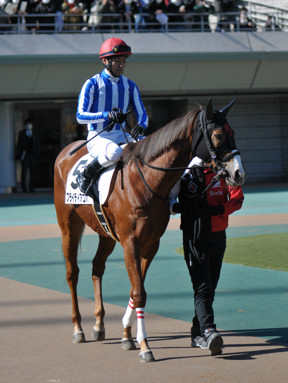 2023/02/05 東京07R