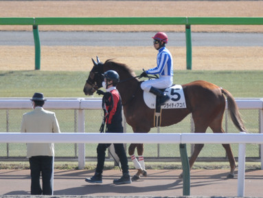 2023/02/05 東京07R