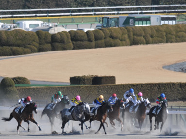 2023/02/05 東京07R