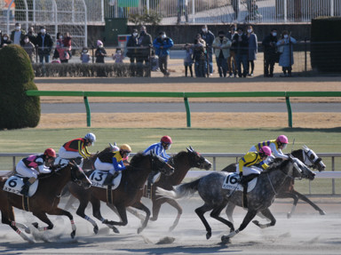 2023/02/05 東京07R