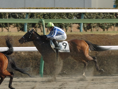 2008/01/26 中山07R