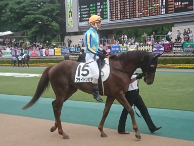 2018/05/13 東京07R