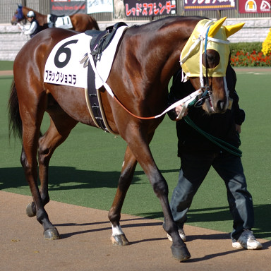 2005/11/20 06R