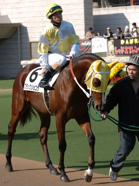 2005/11/20 06R