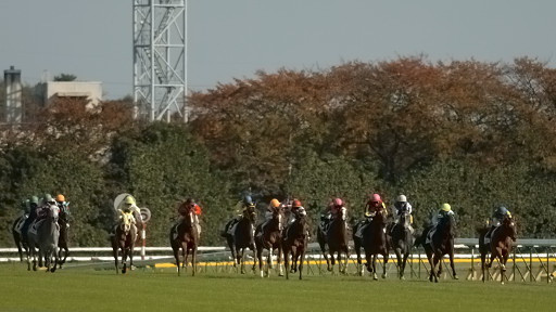 2005/11/20 06R
