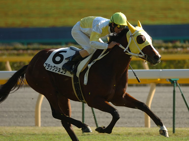 2005/11/20 06R