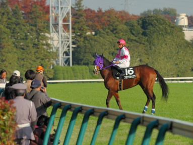 2006/11/25 10R