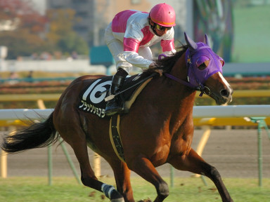 2006/11/25 10R