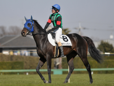 2013/02/24 中山08R