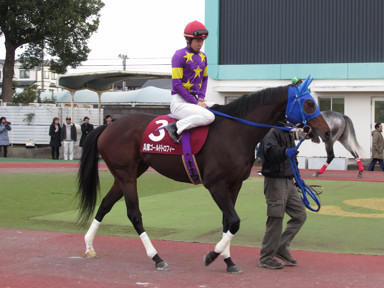 2016/12/28 園田10R