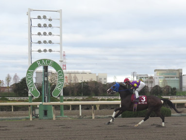 2016/12/28 園田10R