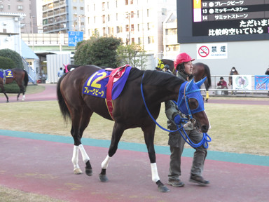 2017/01/03 川崎11R