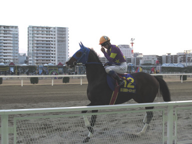 2017/01/03 川崎11R