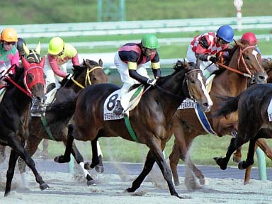 2002/11/04 盛岡06R